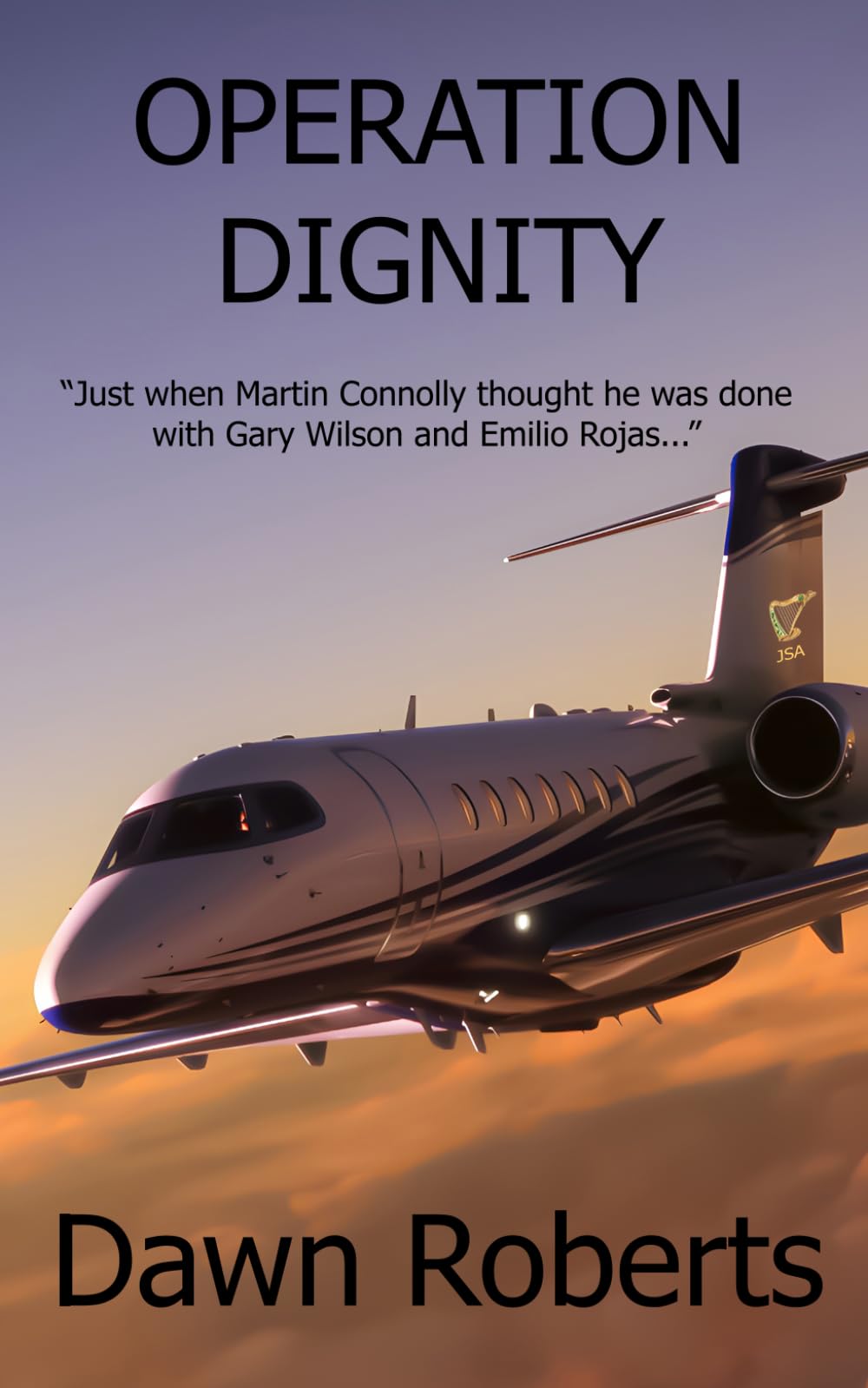 Operation Dignity (Martin Connolly Mystery & Suspense)