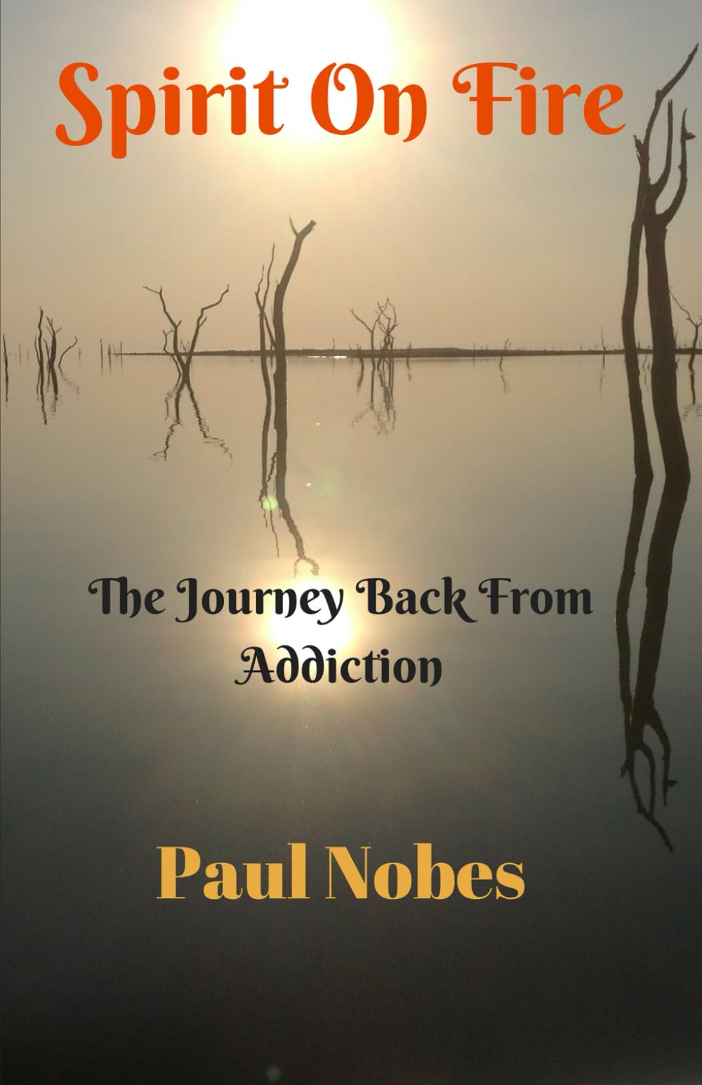 Spirit On Fire: The Journey Back from Addiction