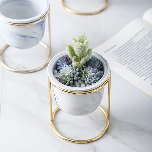Miniatura 7 de J&J Maceta de cerámica para suculentas, 3 pulgadas, mini cactus para plantas de interior, contenedor de jardín, soporte de metal, decoración de
