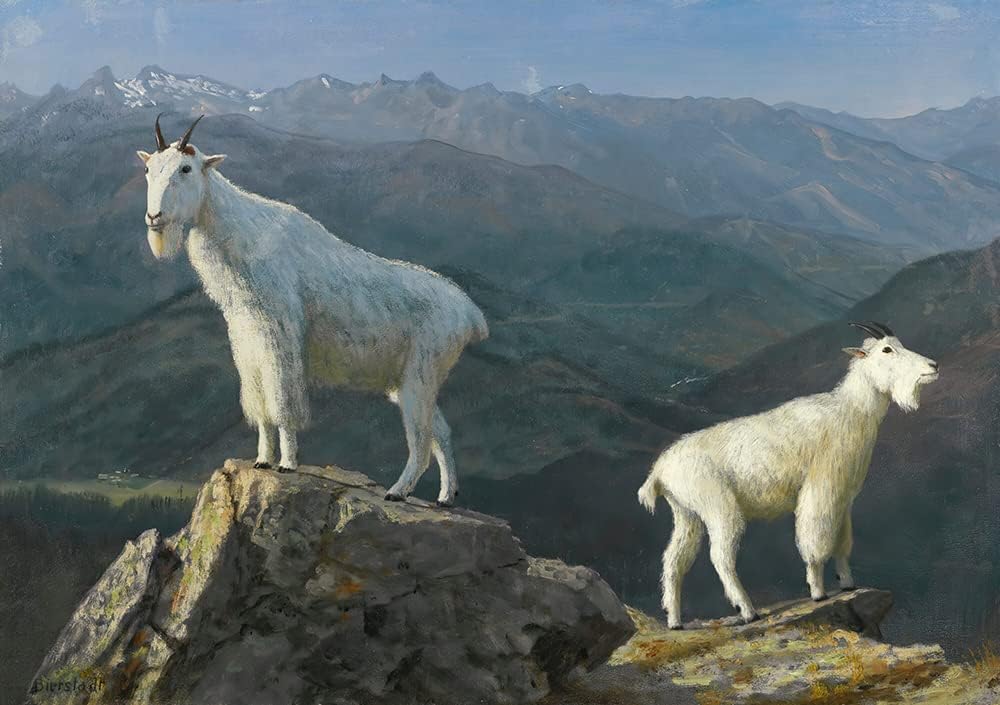 ArtDirect Albert Bierstadt 18x14 Gold Ornate Frame and Double Matted Museum Art Print Titled: Mountain Goats