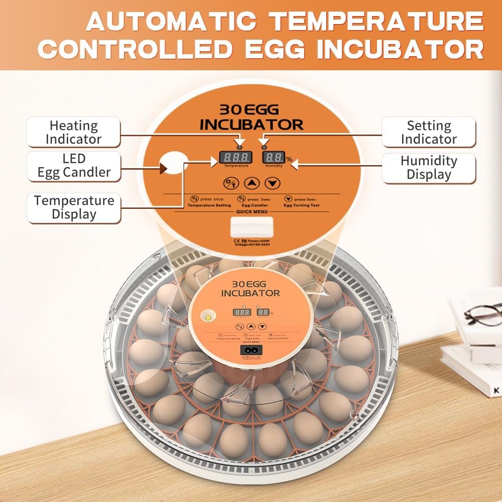 Incubadora automática de huevos con control de temperatura y pantalla de humedad, capacidad de 30 piezas para incubar codorniz, pato, pollo, paloma