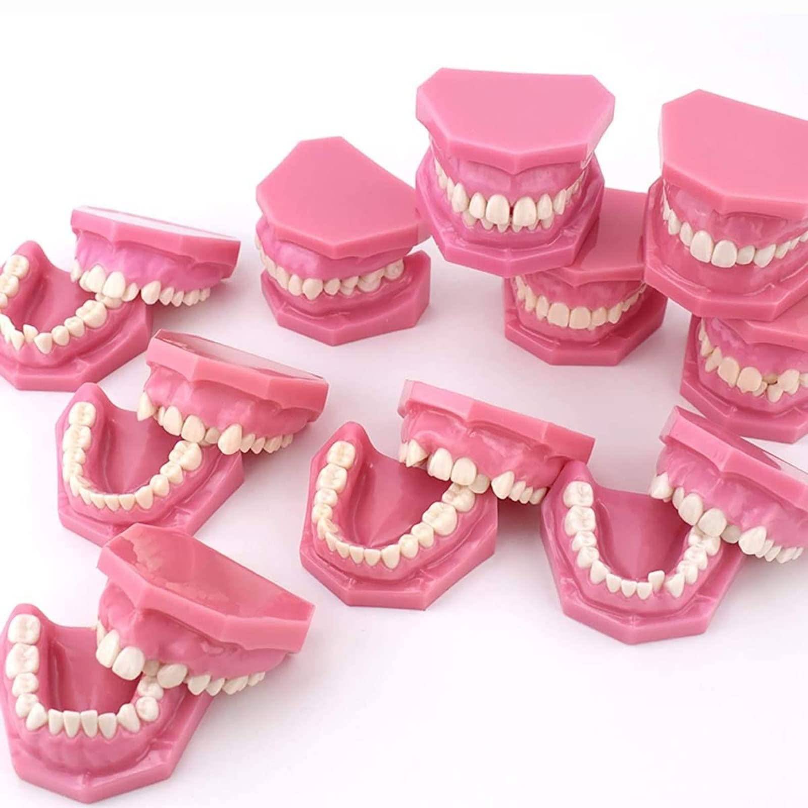 Dentysta Korekta Ortodontyczna Model Anatomiczny Do Nauki Stomatologii Badanie Zębów Dorosłych Model Dydaktyczny 10 Szt. Model Demonstracyjny Klasyfikacji Wad Z