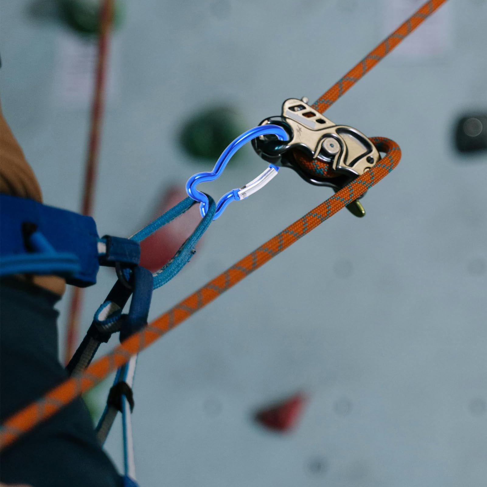 Toyvian Fischform Karabiner Clips Praktische Sicherheitskarabiner Für Camping Klettern Und Outdoor Aktivitäten Blau Leicht Und Tragbar Für Schlüssel Und Rucksäcke