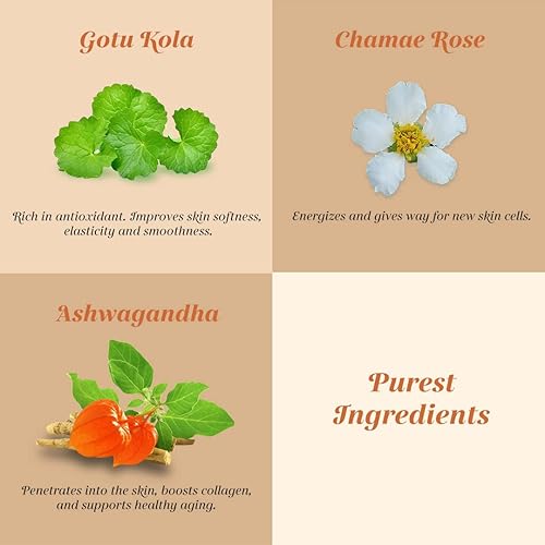 Miniatura 4 de Shankara Ageless - Suero de vitamina C con Gotu Kola para piel hidratada y de aspecto más joven, suero herbario para el cuello y la cara para
