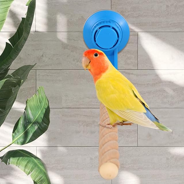 Foto 6 de 7 de Percha para pájaros, percha para loros con ventosa, juguetes tenespoli para loros, cacatúas