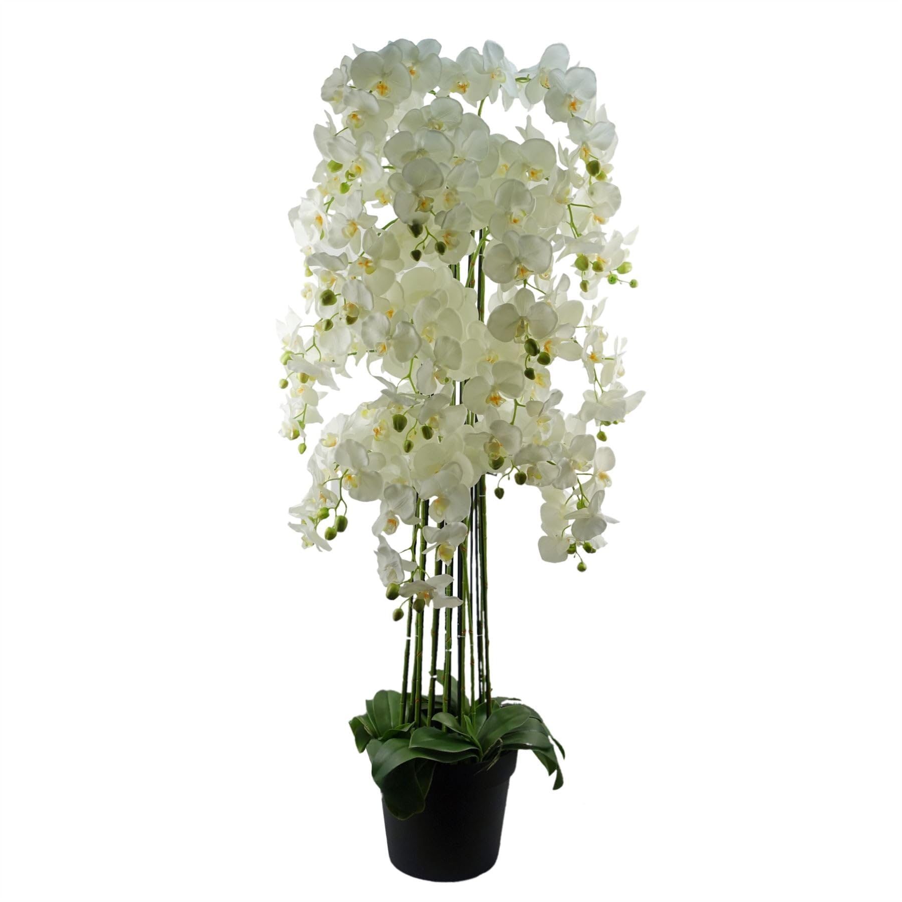 Botanik Realistic Artificial Orchid Plants Fully Potted