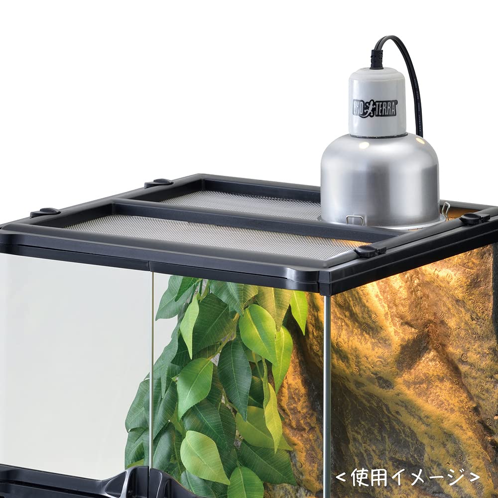 【引き取り限定】GEX エキゾテラ グラステラリウム6030＋バスキングライト グラステラリウム6030 PT2604 | ジェックス株式会社