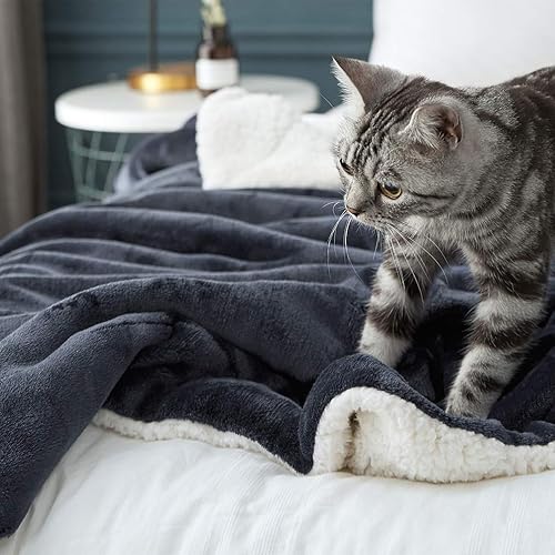 Miniatura 5 de LBRO2M Manta de cama de vellón sherpa, tamaño individual, súper suave, afelpada, cálida, acogedora, de microfibra esponjosa, manta de terciopelo