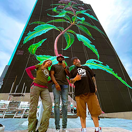 Episode 4 | "This Is Culture"