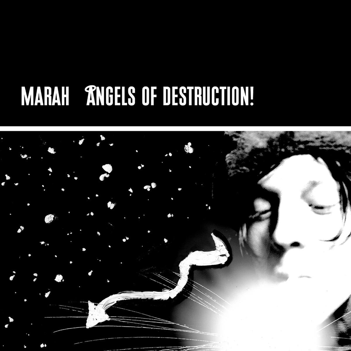 Angels Of Destruction (2lp) [VINYL]