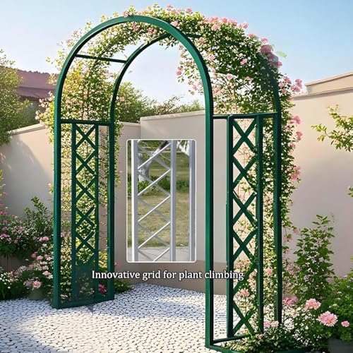 Support de plantes pour vignes et roses grimpantes en métal robuste - 5