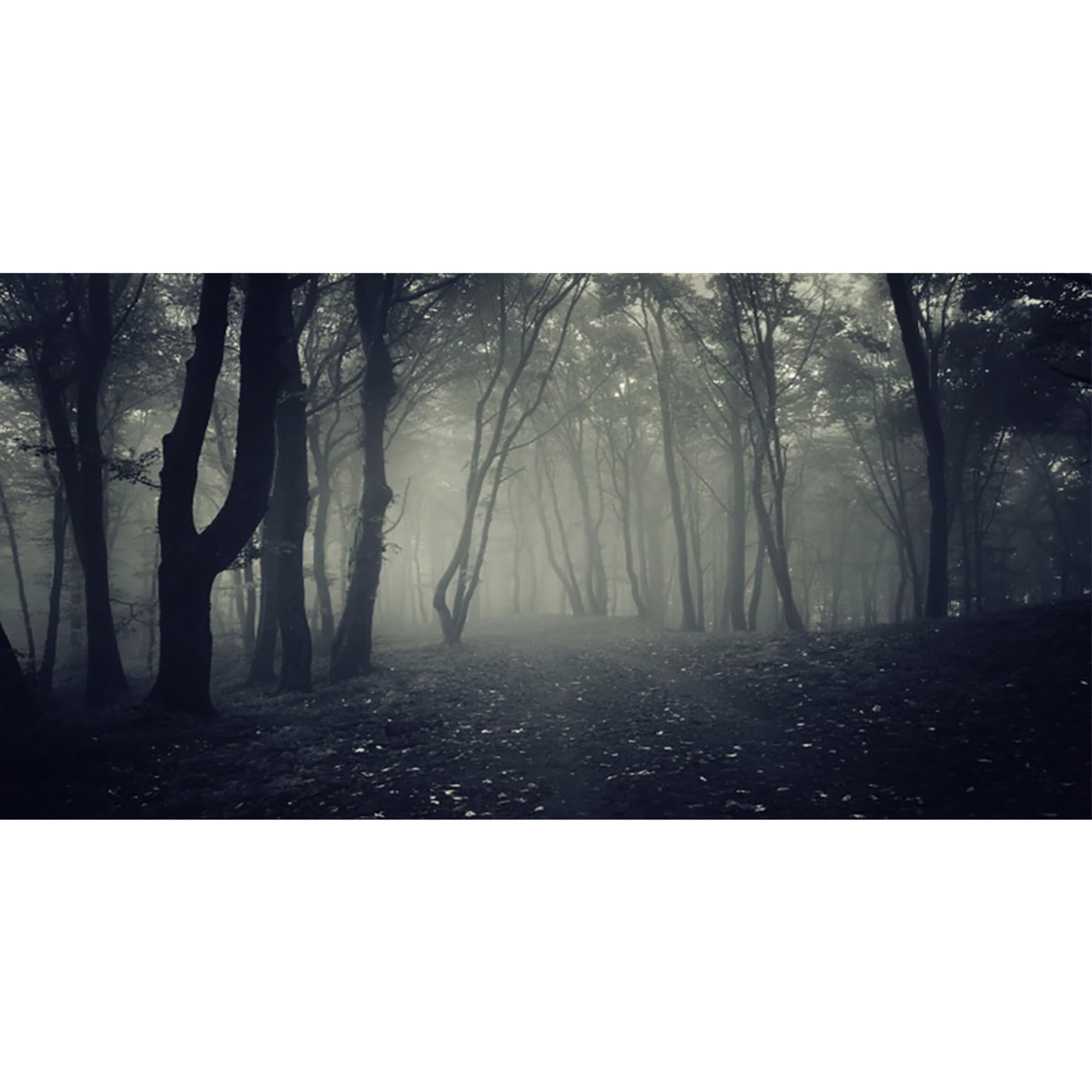 MIRRORANG 120x46cm Spooky Aquarium Background Branches Trees Path Mist Forest Vinyl Durable Fish Tank Background