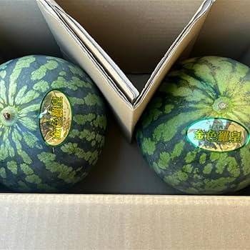 Amazon.co.jp: 金色羅皇 訳あり 2玉入り Sサイズ（1玉約4kg×2