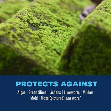BioAdvanced 2-in-1 Moss and Algae Killer for Lawns, Moss Killer for Roofs, Patios, Decks, and Deck Cleaner, 32 oz