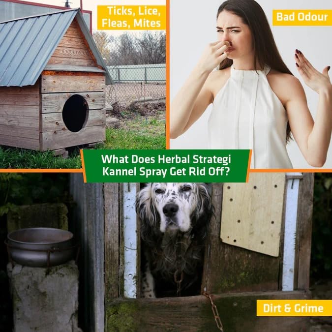 Herbal Strategi Kennel Spray Herbal Protection from Ticks, Fleas, Lice and Mites in The Kennel Area - 100ml 1