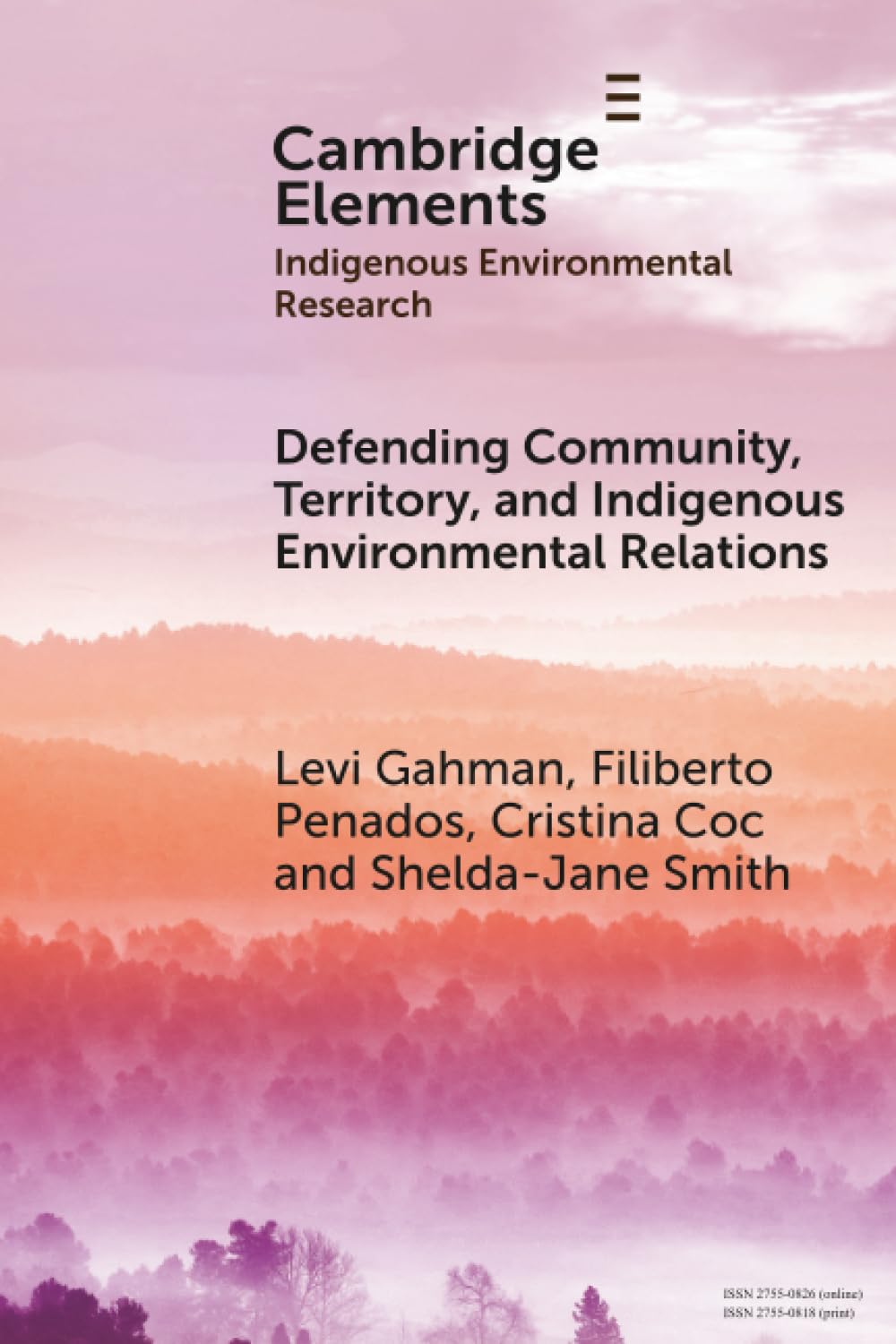 Defending Community, Territory, and Indigenous Environmental Relations (Elements in Indigenous Environmental Research)