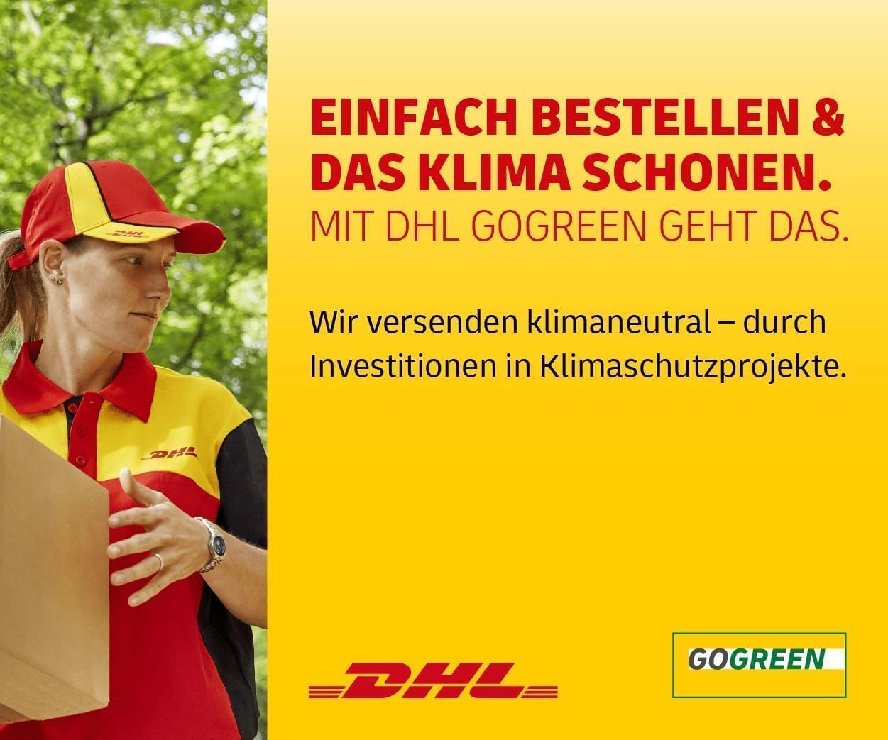 5 Bund Kaltwasser-Set Aquariumpflanzen – Frische Wasserpflanzen aus dem Gewächshaus