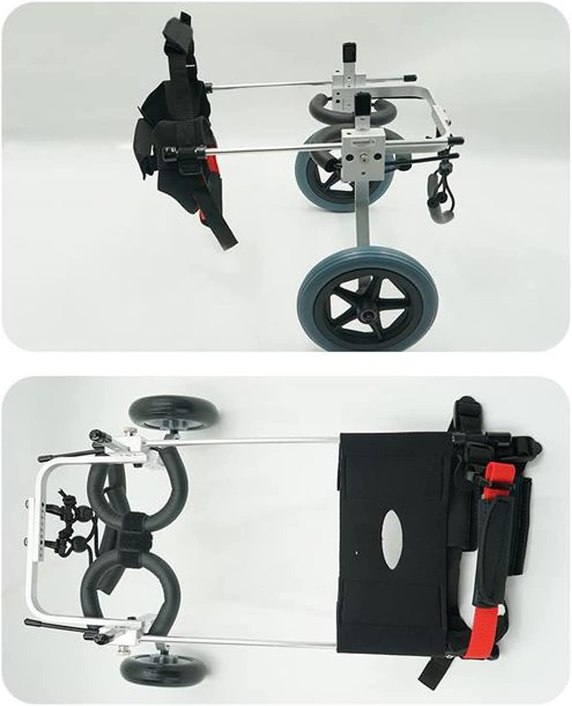 Pet 2 Ruote Sedia a Rotelle Regolabile per Animali Domestici Disabili Ruota da Corsa per Gatti Carrello per Cani/Sedia a Rotelle Camminata Assistita Gambe Posteriori Riabilitazione Mobilità Ausili