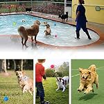 Dog Balls，Dog Ball for Small Medium and Large Pet Dog Squeaky Balls 3Pcs