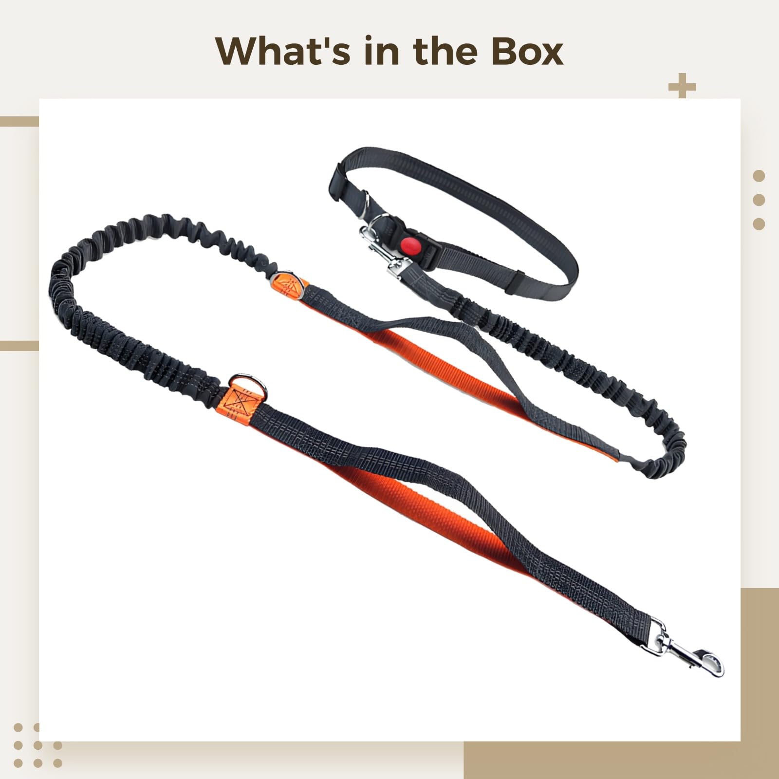 Laisse Bungee pour Chien Mains Libres, Laisse réfléchissante pour Petit Chien pour Courir, Ceinture réglable pour Humain, 5,4 à 7,9 ft