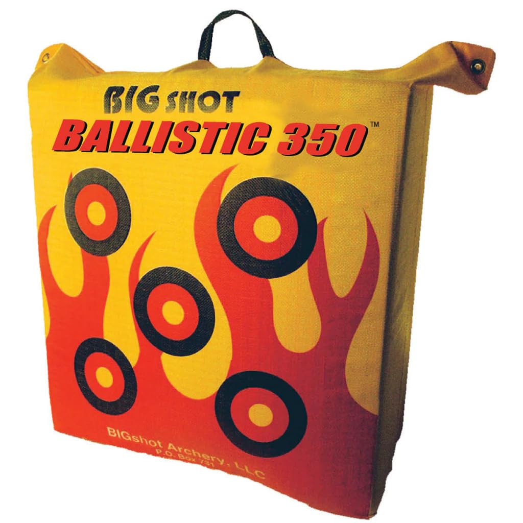 Shooting Targets For The Range BIGSHOT Ballistic 350 Archery Bag Target ...