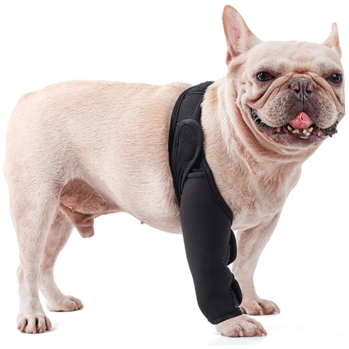 Abaodam 5 Pz per Il Naso del Cane Bende per Cani per Ferite Maniche delle Gambe Articolazione del Cane Zampa Posteriore del Tutore per Cani Manica al Ginocchio Il Cane