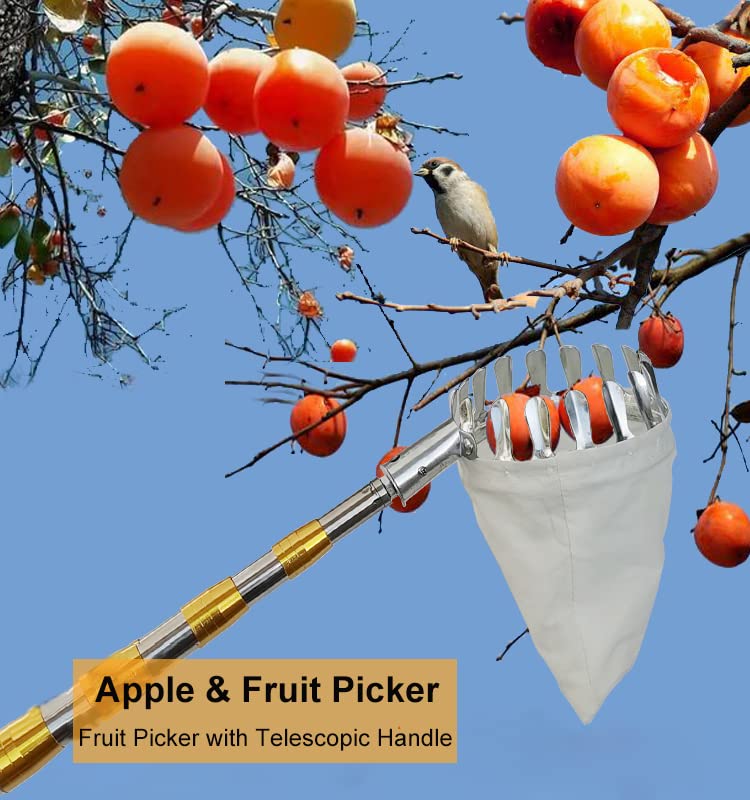 ERSTUME 170cm Fruit Picker with Telescoping Handle Lightweight Apple Picker with Fabric Bags Outdoor Pick-Up Tools for Lemons Apples Pears Peaches Mangoes Oranges