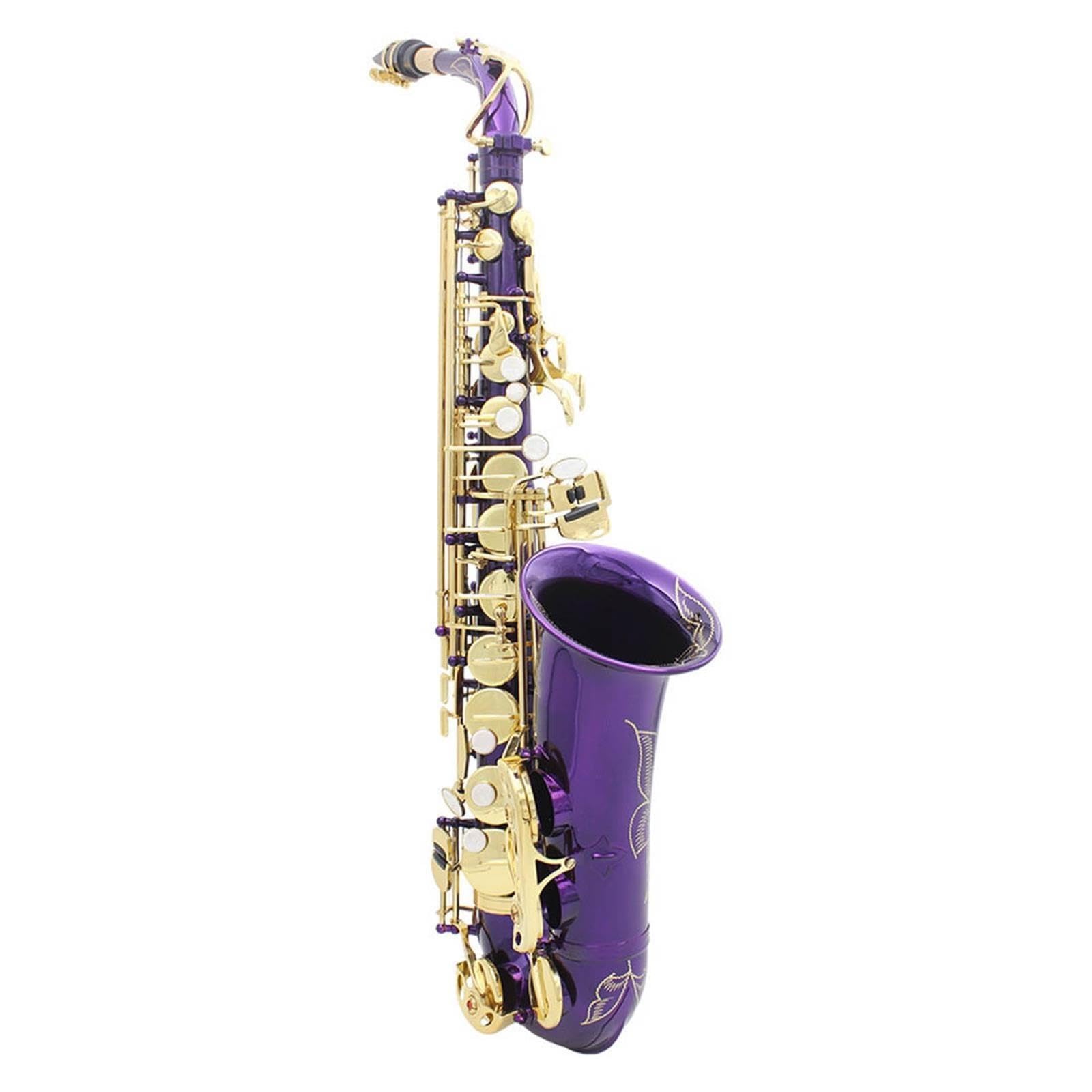 Saxofón Rendimiento Del Examen Calificado De Saxofón Alto En Mi Bemol