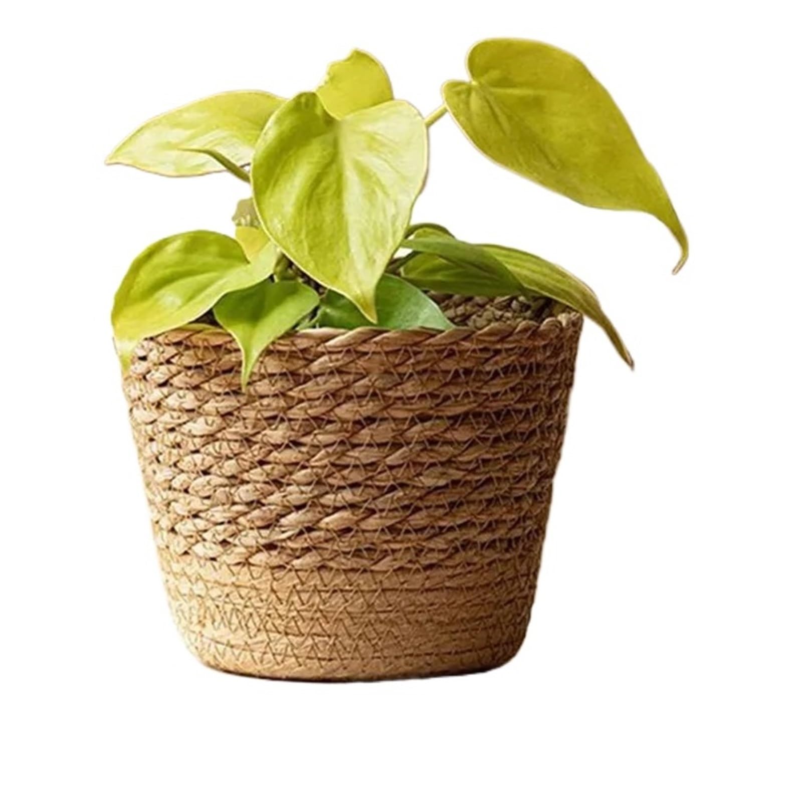 LuoAXINN Woven Straw Flower Pot Straw Weaving Flower Plant Pot Wicker Basket Rattan Flowerpot Storage Garden Handmade Woven Planter