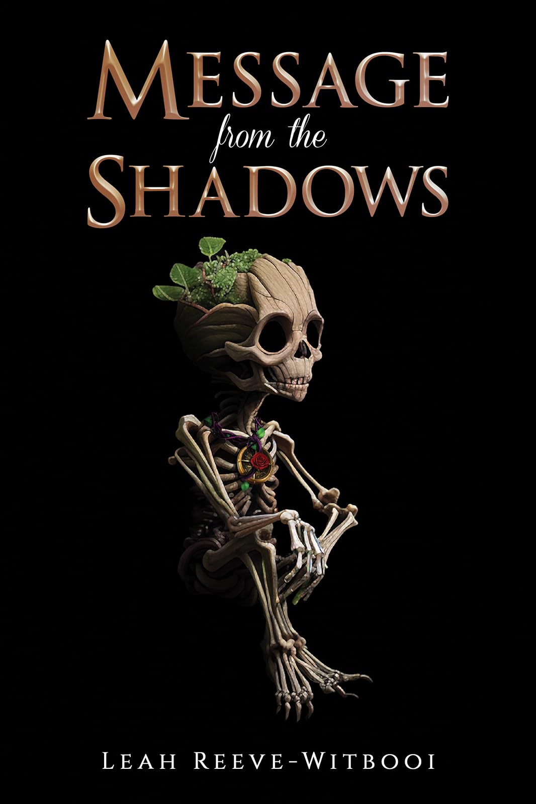 Message from the Shadows - 9781398482289
