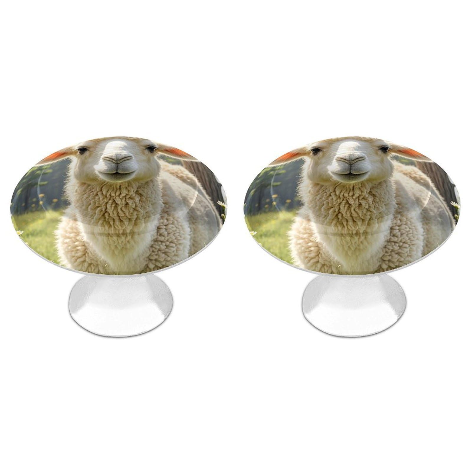FekiLoot Round Cabinet Knob 2 Pack Kitchen Drawer Knobs Stainless Steel Round Drawer Pulls Modern Cabinet Hardware Llama Alpaca Drawer Hardware for Dresser Closet Door Knobs