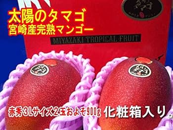 Amazon.co.jp: 宮崎県 太陽のタマゴ 完熟マンゴー 【赤秀】 2玉