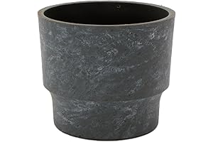 HC Companies 2.5 Inch Sprite Succulent Pot: Cultivate Joy in Limited Spaces