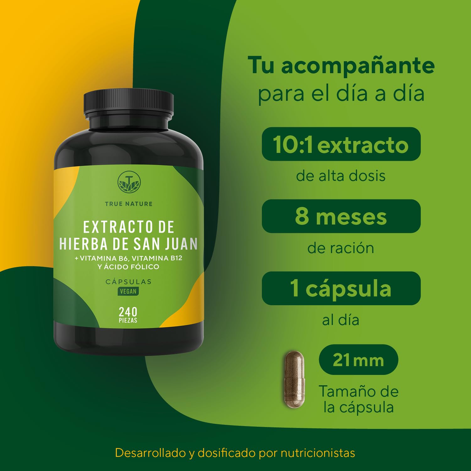 Hipérico Hierba de San Juan Extracto - 5000mg al día - 240 cápsulas - Alta Concentración - con hipericina natural - con vitaminas B6, B12 y ácido fólico - TRUE NATURE®