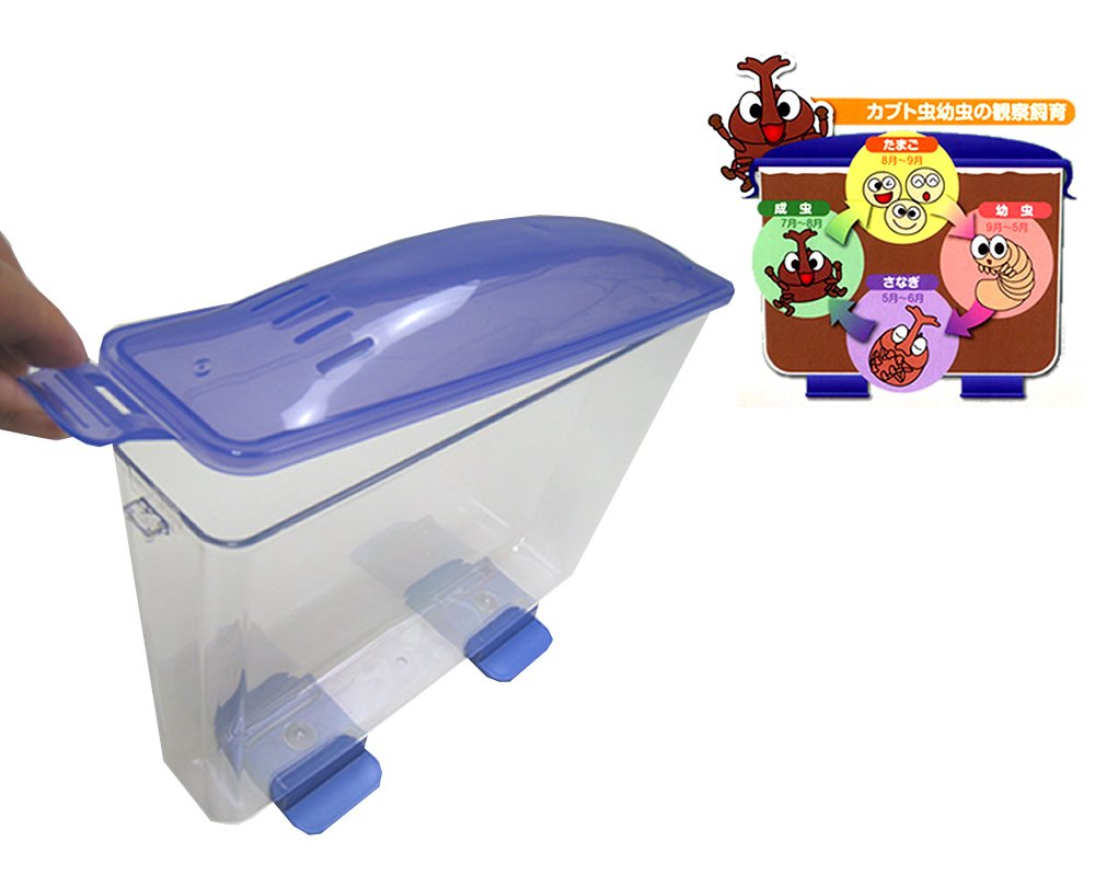 Amazon | ヤマイネ 見える観察ケース ラクぼっくす | ヤマイネ