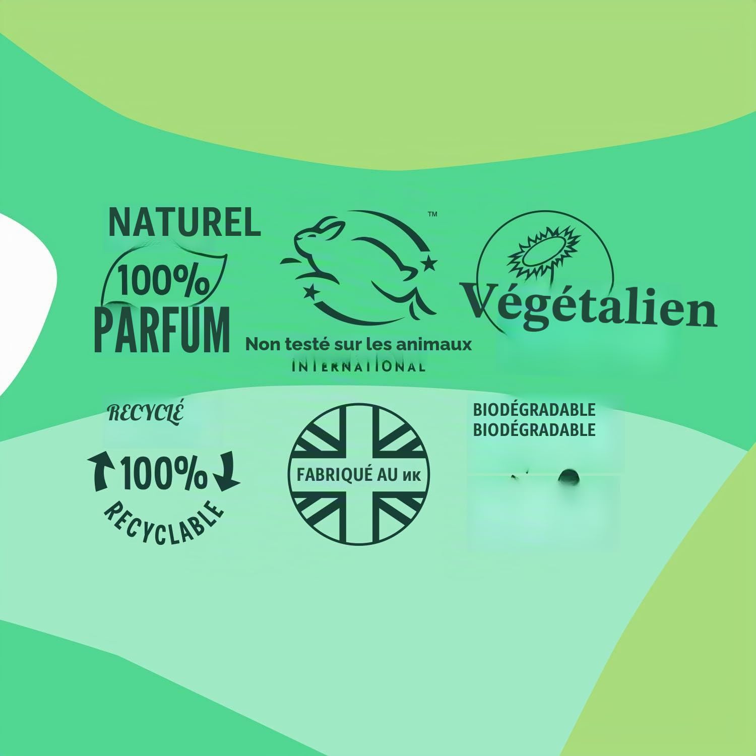Faith In Nature Après-shampoing naturel sans parfum, sensible, végétalien et sans cruauté envers les animaux, sans SLS ni parabènes, pour tous les types de cheveux, recharge de 5 L