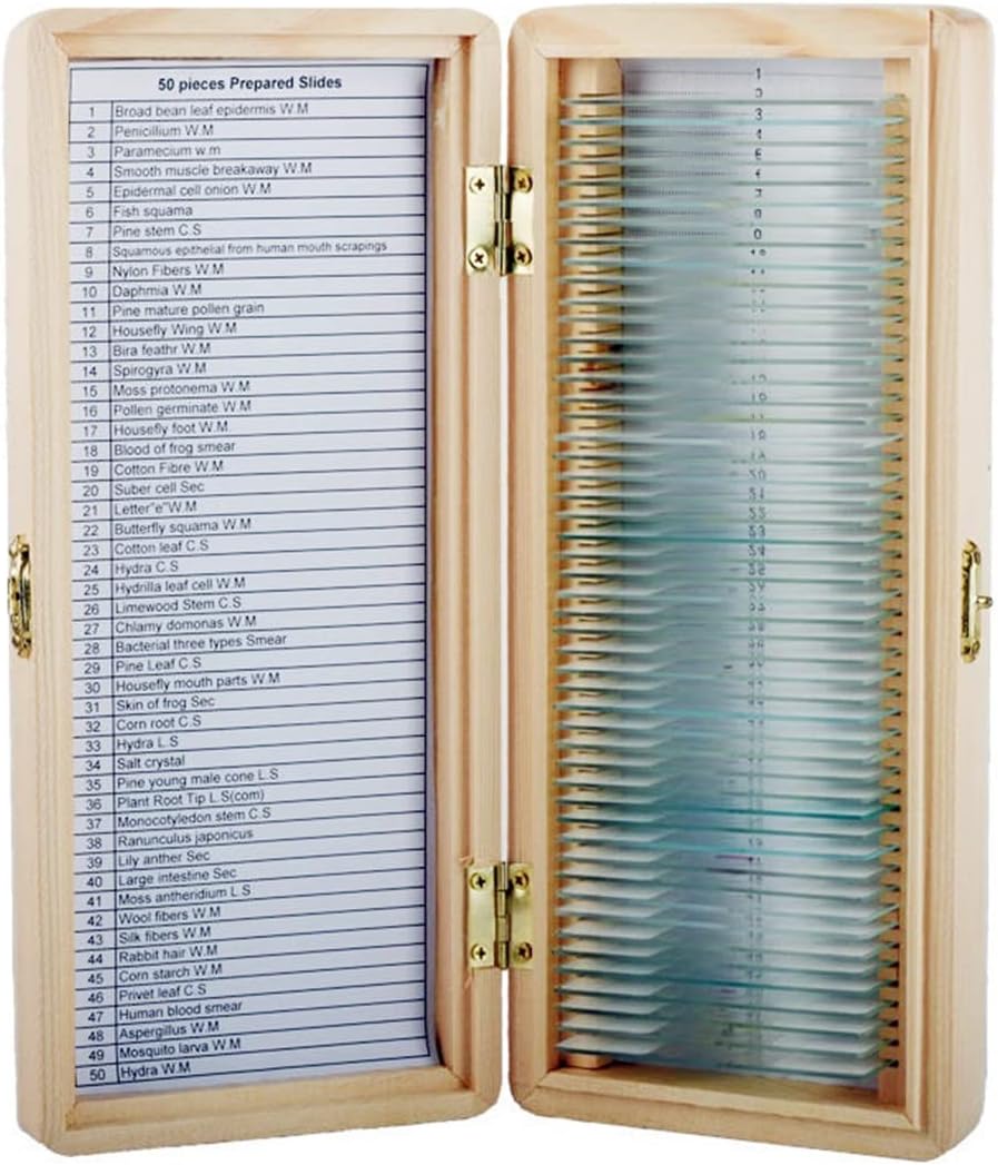 Lab Consumables 50 Slices Of Biological Tissue Slides Wooden Case Packing For Basic Biological Science Education Microscope Biological Lens Adapter