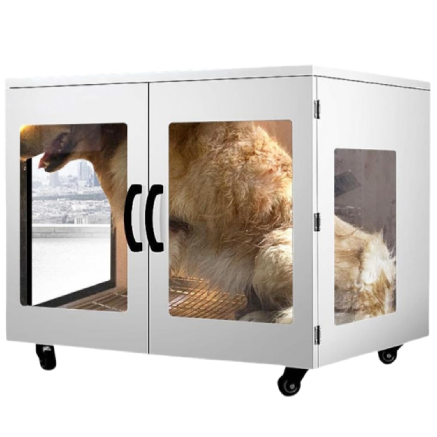 Qiang 3000W Secador De Pelo para Mascotas Grandes Después Baño,Caja Secadora para Cuidado Mascotas De Perros Y Gatos,Ultra Silenciosa,Control De Temperatura Inteligente,Secado 360°