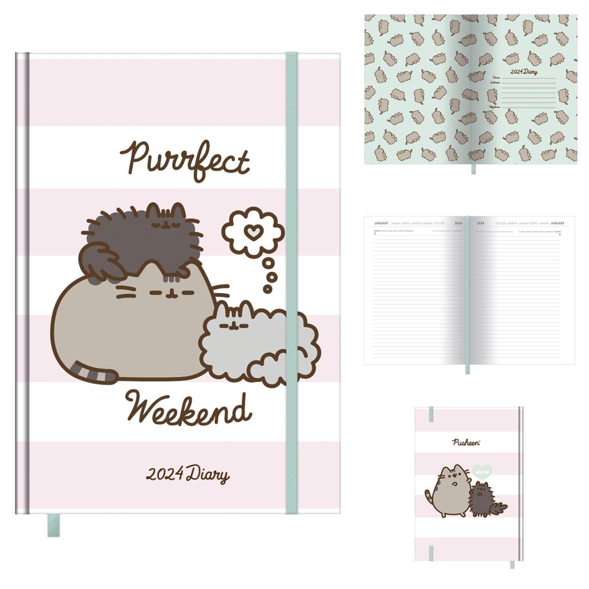 Pusheen Diary (Paperback Book)