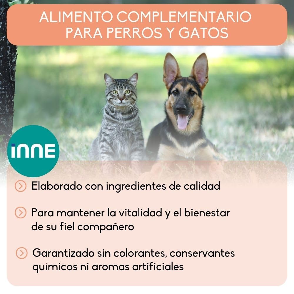 NUTRIVET - Aliment Complémentaire - Chiens & Chats - Huile de Saumon - Riche en Omegas 3 et 6 - Flacon-Pompe 1L