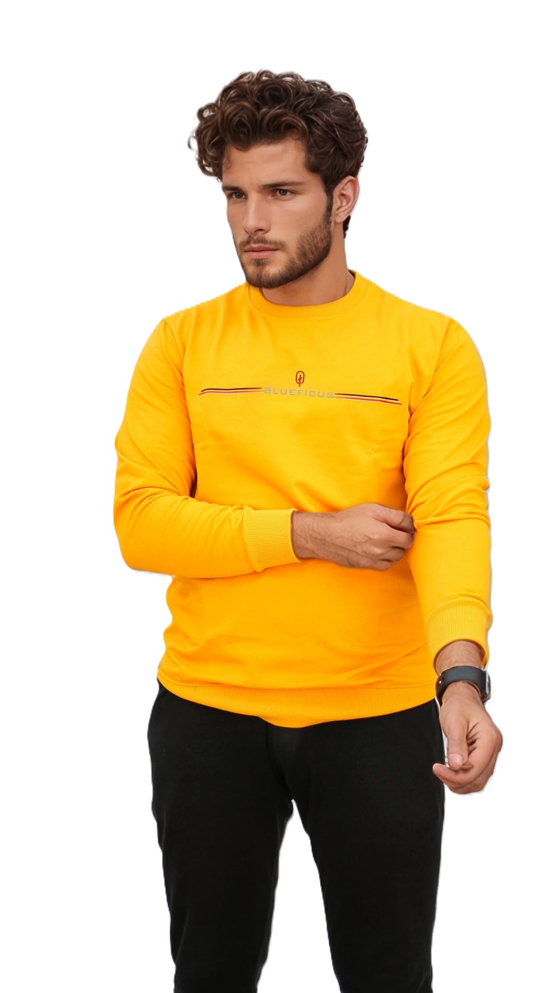 Men's Regular Fit Cotton Blend Loop Knit pre Winter Sweatshirt Round Neck-image-24