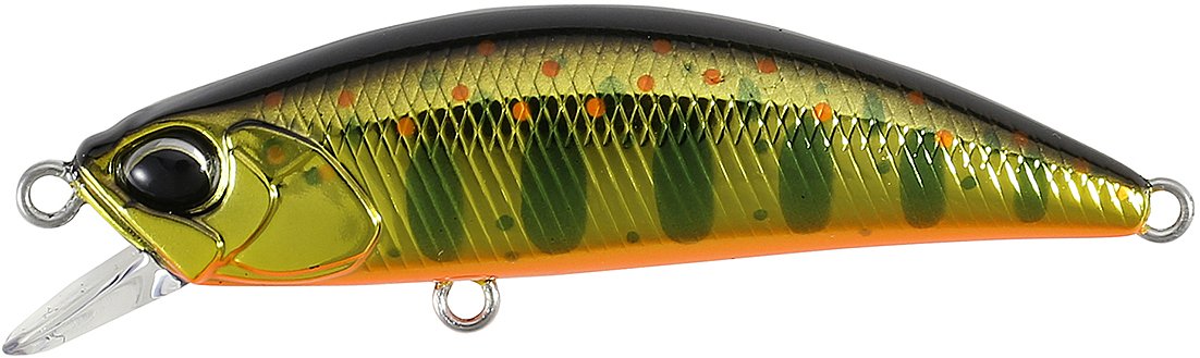 Duo Spearhead Ryuki 50F MCC4084 Gold Yamame Suni Yem