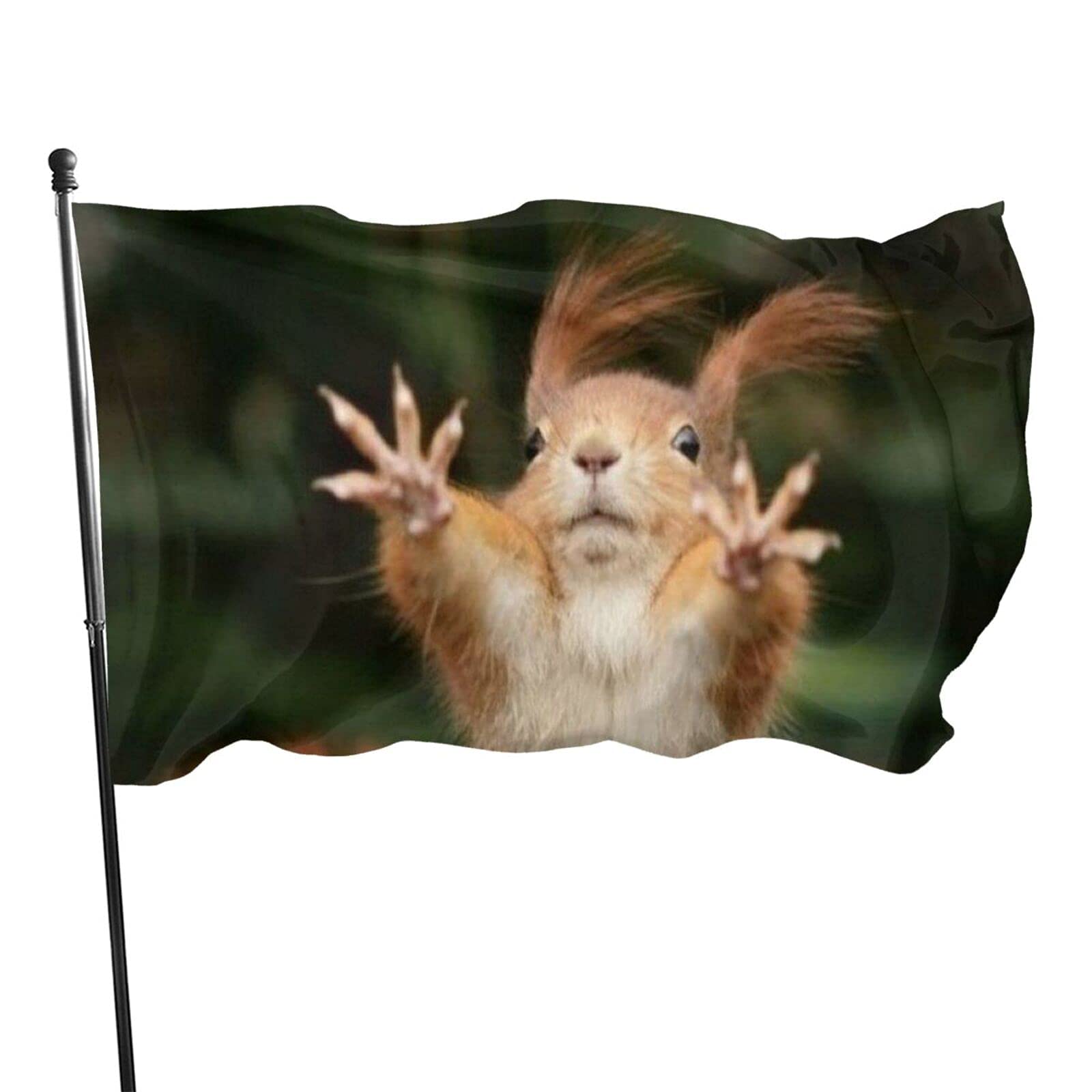 Funny Flag Squirrel Funny Animal Vivid Color and Fade Proof Flag - Home Garden Flag Yard Outdoor Indoor Decorative Banner 3x5 Ft