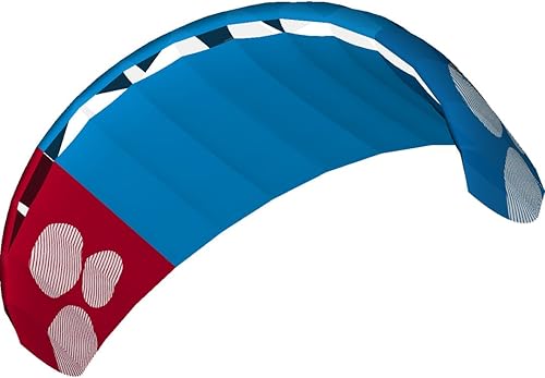 Miniatura 2 de HQ 4 Rush School 300 Kiteboarding Snowkiting Landboarding 4-Line Trainer Kite