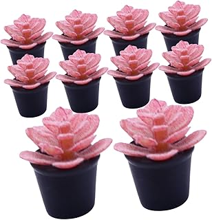 Outanaya 10pcs Doll House Potted Plant Small House Plants Miniature Plants Miniatures Miniature Cactus Plants Mini House Plant Pots Miniature Artificial Succulents Mini Garden Bonsai Decor