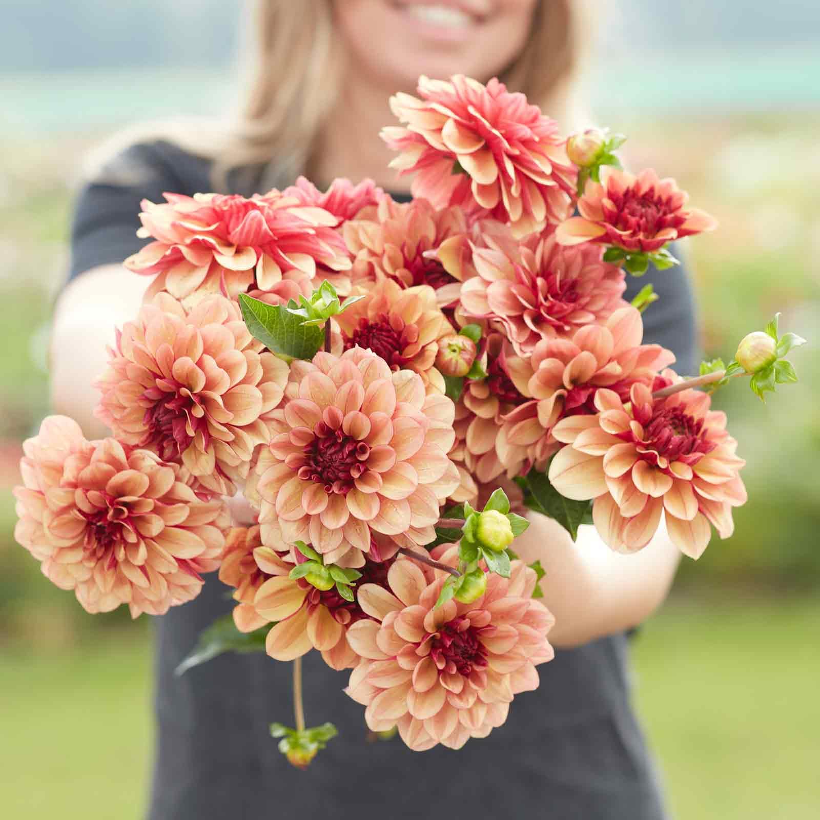 Eden Brothers Creme de Cognac Dahlia