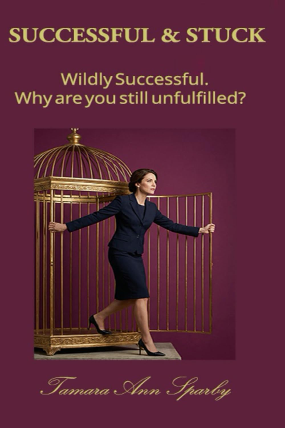 SUCCESSFUL & STUCK: Wildly Successful. Why are you still unfulfilled?