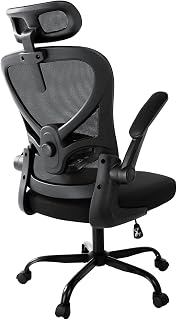 ALAULM Ergonomischer Bürostuhl mit Verstellbarer Lendenwirbelstütze und um 90° hochklappbaren Armlehnen, Computerstuhl mit hoher Rückenlehne aus Netzgewebe für Zuhause und Büro, schwarz