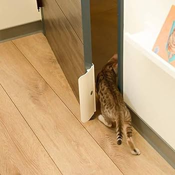 Amazon.co.jp: Tsumuku ペット用 ドア ペットドア 犬 猫 ペット