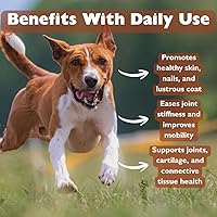 Vista 6 de PeakTails - Polvo MSM con sabor a pollo para perros, 1 libra, suplemento de apoyo para cadera y articulaciones, 99.9% MSM destilado puro, fabricado